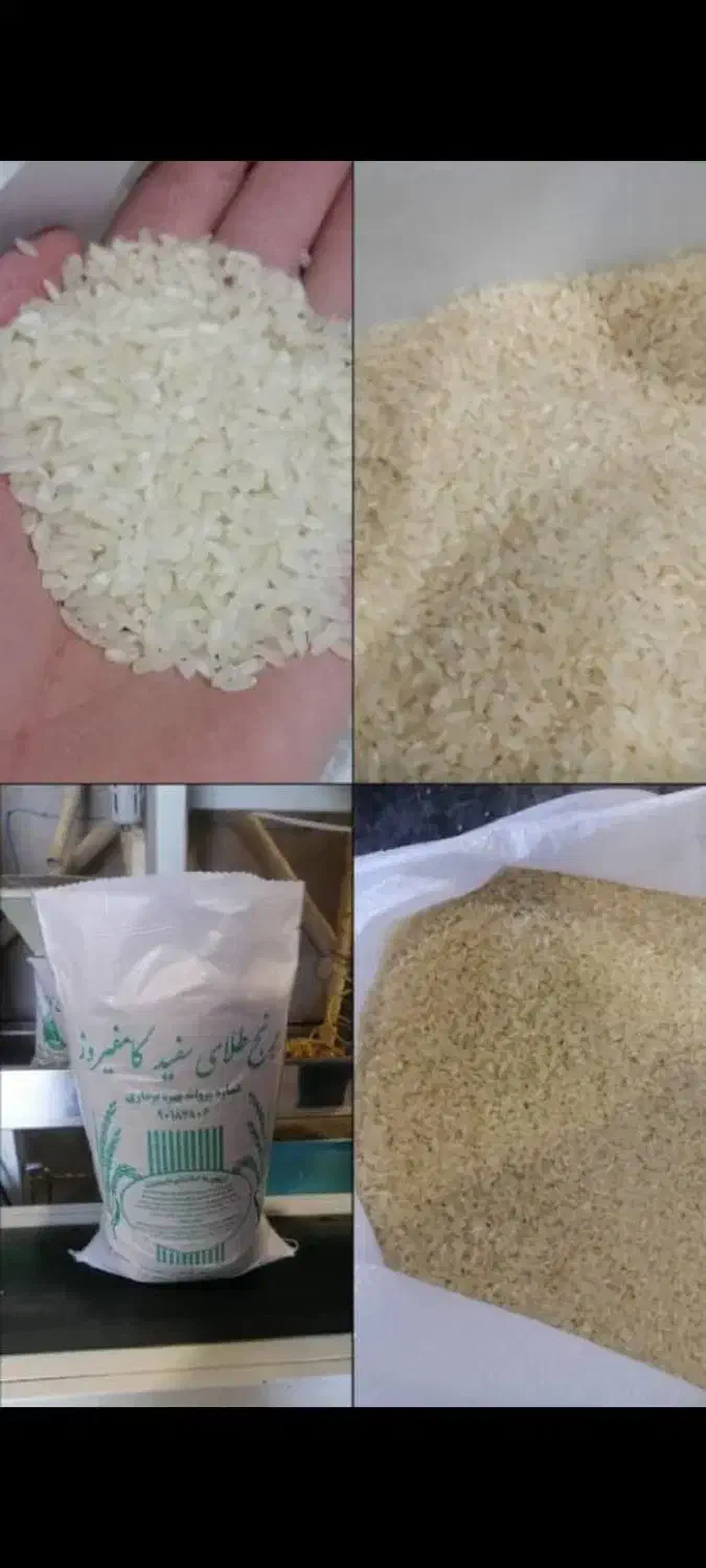 برنج کامفیروزی درجه یک|خوردنی و آشامیدنی|صدرا-فارس, فاز ۱|دیوار