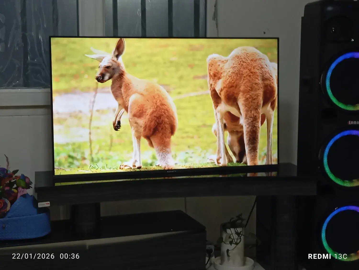 تلوزیون ۵۰اینج اسمارت|تلویزیون و پروژکتور|کرج, شهرک ولیعصر|دیوار