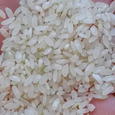 برنج درجه یک کامفیروزی|خوردنی و آشامیدنی|شیراز, شهرک فرزانگان|دیوار