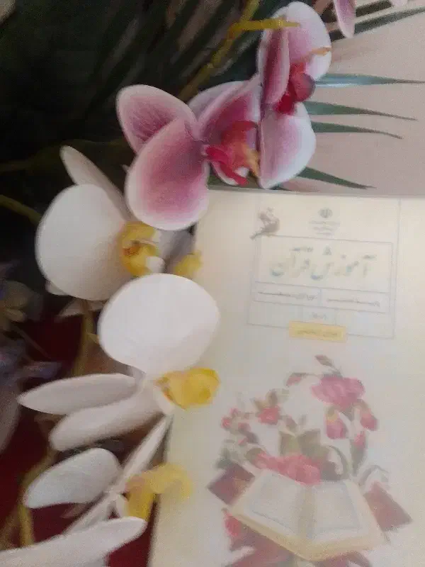 تدریس خصوصی عربی انگلیسی قرآن پسران قیمت مناسب|خدمات آموزشی|کرمان, |دیوار