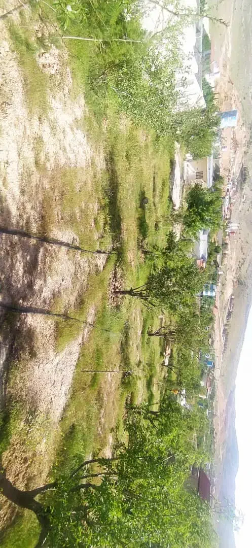 باغ شهری شهید پرویزی. ۱۰ دقیقه تا شیراز|فروش خانه و ویلا|شیراز, مجتمع شهید پرویزی|دیوار