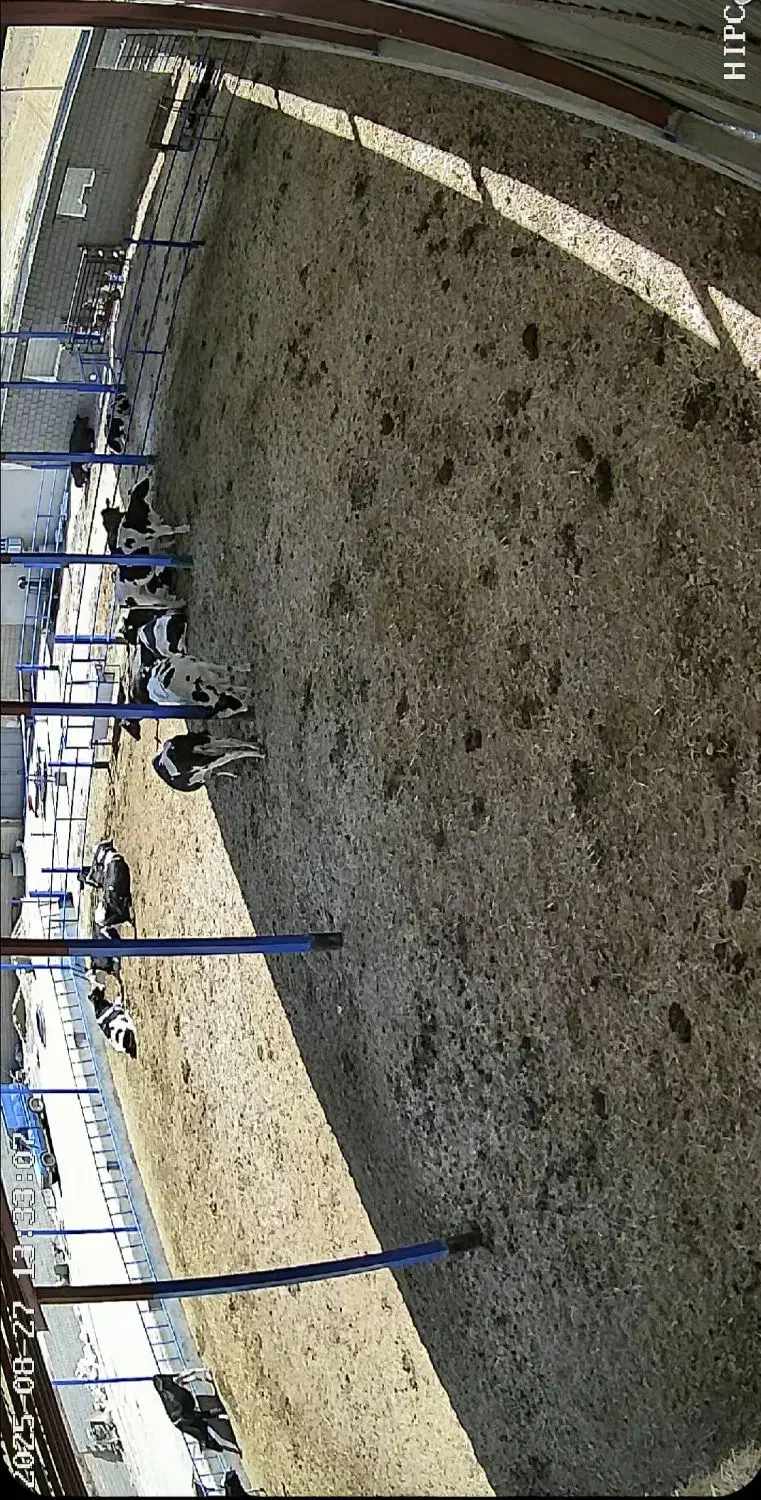 دوربین تحت شبکه سونی دید در شب رنگی|دوربین مداربسته|شیراز, عادل آباد|دیوار