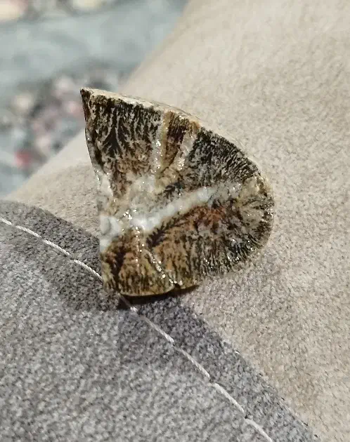 سنگ|کلکسیون اشیاء عتیقه|مشکین‌دشت, |دیوار