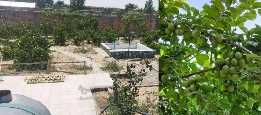 فروش باغ ویلا|فروش خانه و ویلا|کاشمر, |دیوار