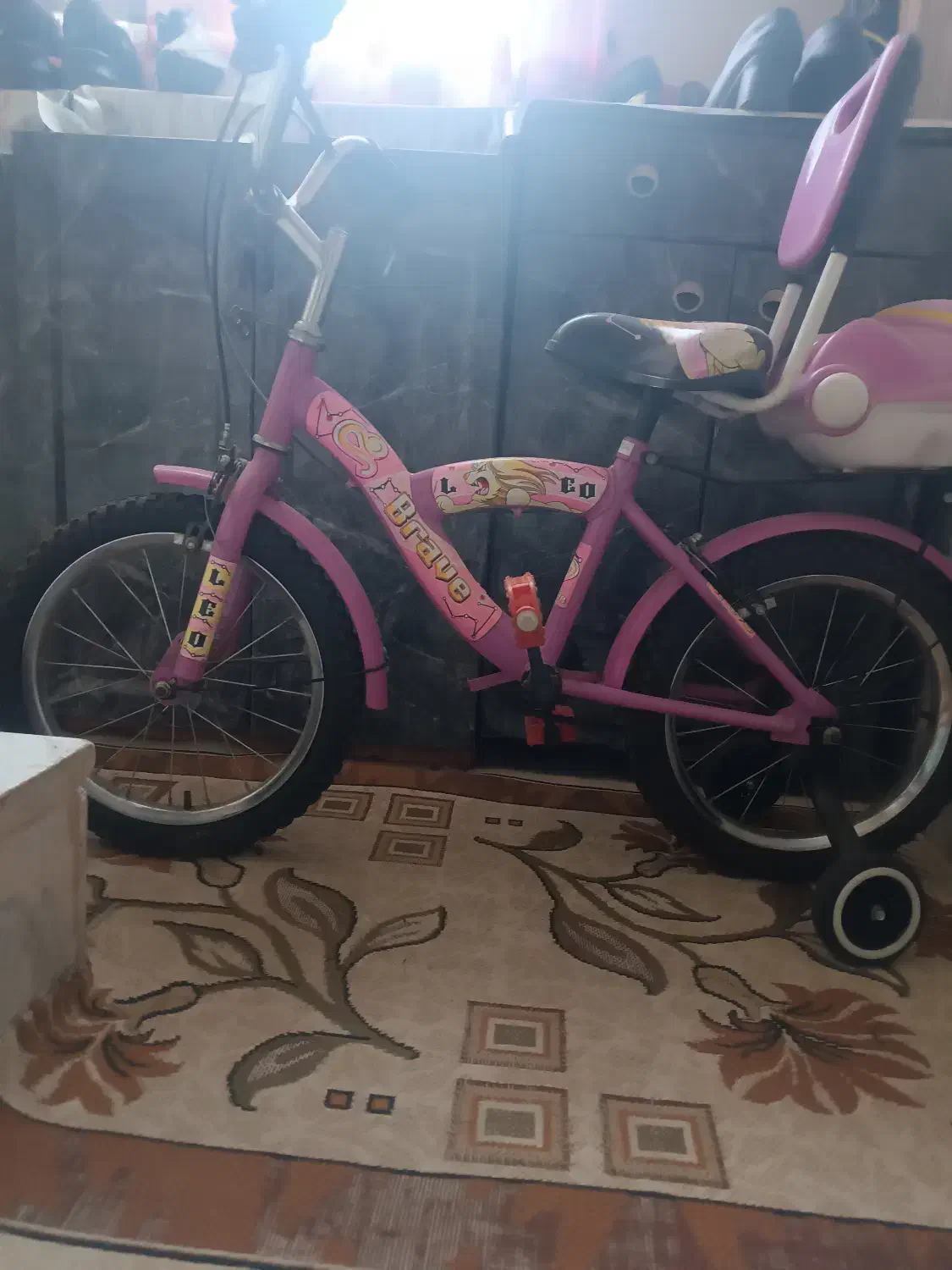 دوچرخه۱۶|دوچرخه، اسکیت، اسکوتر|قدس, شهر‌قدس|دیوار