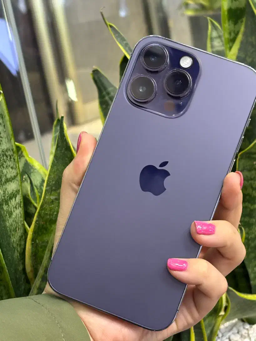 Purple 14 mx دوربین عالی با طلا و بتا|موبایل|اصفهان, احمدآباد|دیوار