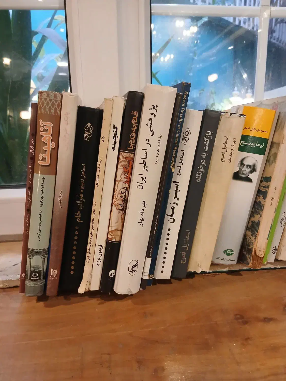 کتابهای قدیمی و جدید|کتاب و مجله تاریخی|رشت, کاکتوس|دیوار