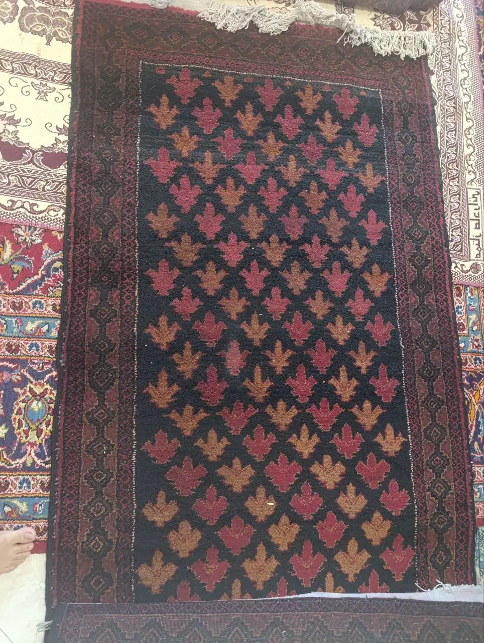 دو عدد قالیچه|فرش|زاهدان, |دیوار