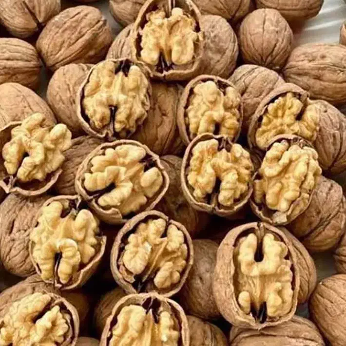 خشکبار گردو.بادام|خوردنی و آشامیدنی|شیراز, آزادی|دیوار