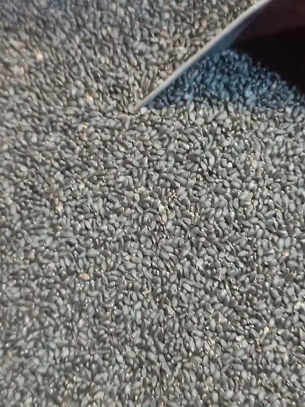 تخم شربتی اعلا|فعالیت داوطلبانه|فردیس, فردیس|دیوار