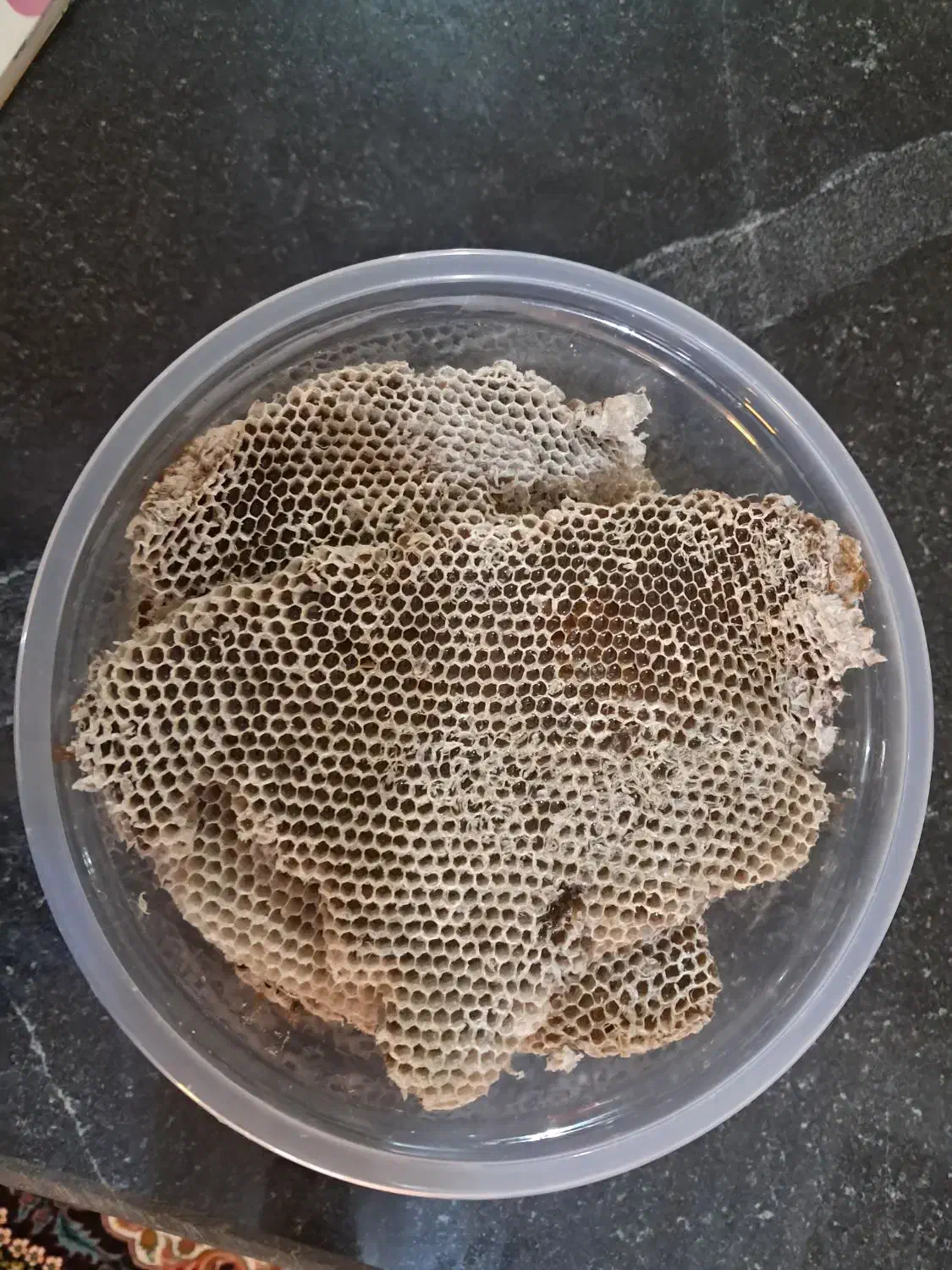 خرید وفروش عسل خشک|خوردنی و آشامیدنی|درب بهشت, |دیوار