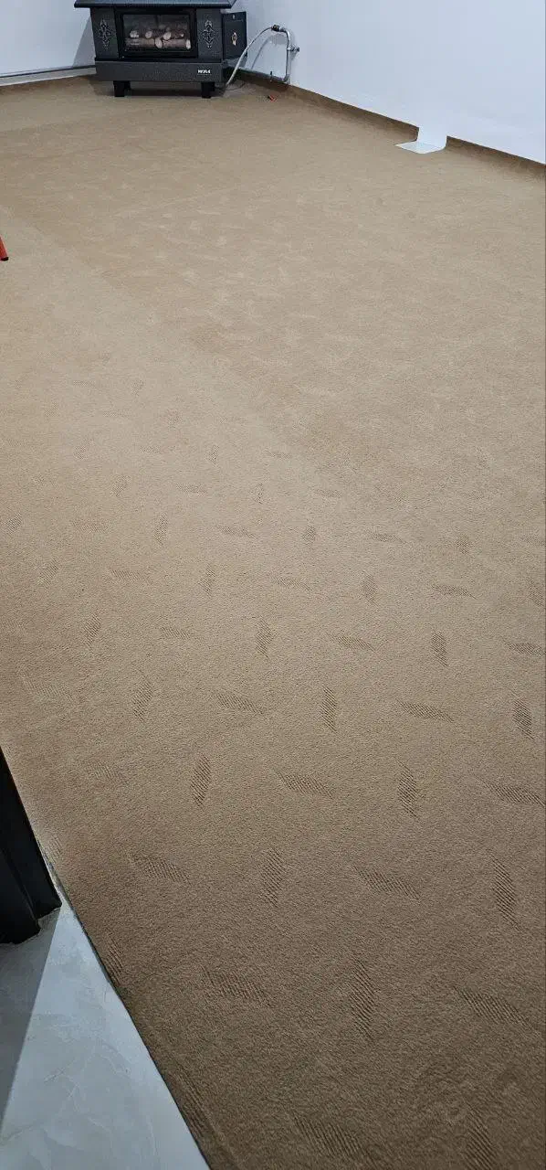 موکت ظریف مصور رنگ شتری سه تیکه|موکت|بازرگان, |دیوار