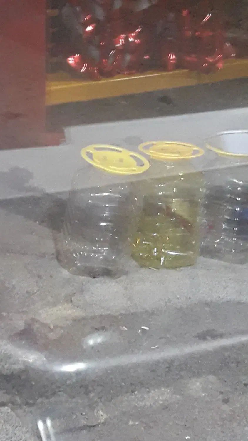 دبه سر فرمانی|ظروف نگهدارنده، پلاستیکی، یک‌بارمصرف|سنندج, |دیوار