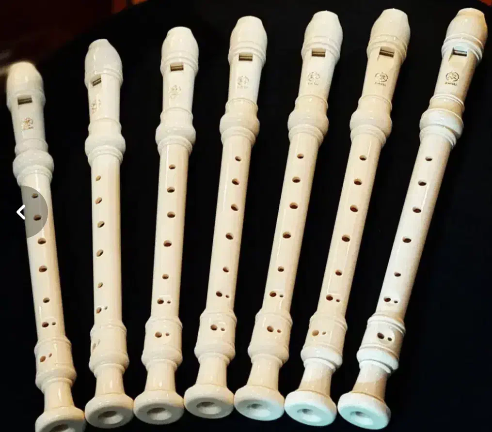 پخش عمده فلوت ریکوردر یاماها|سازهای بادی|شیراز, سیلو|دیوار