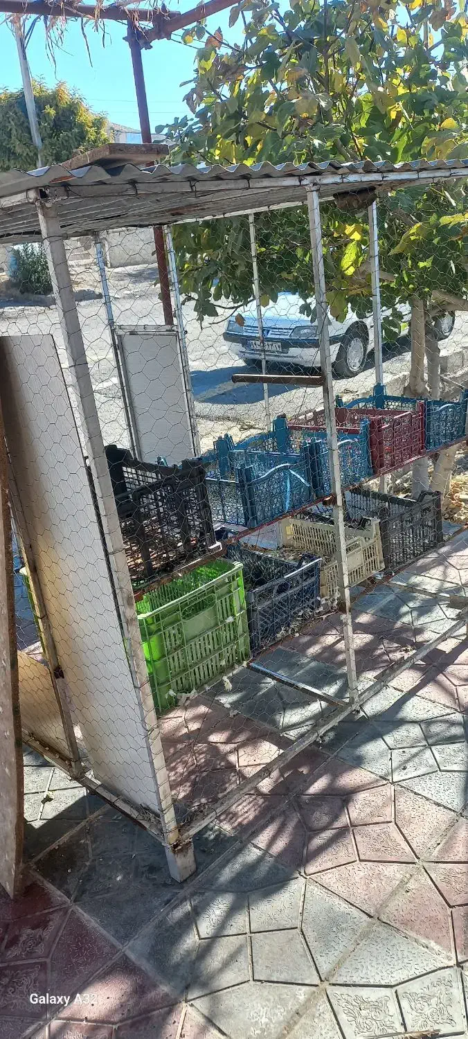 قفس بزرگ|لوازم جانبی حیوانات|ملکشاهی, |دیوار