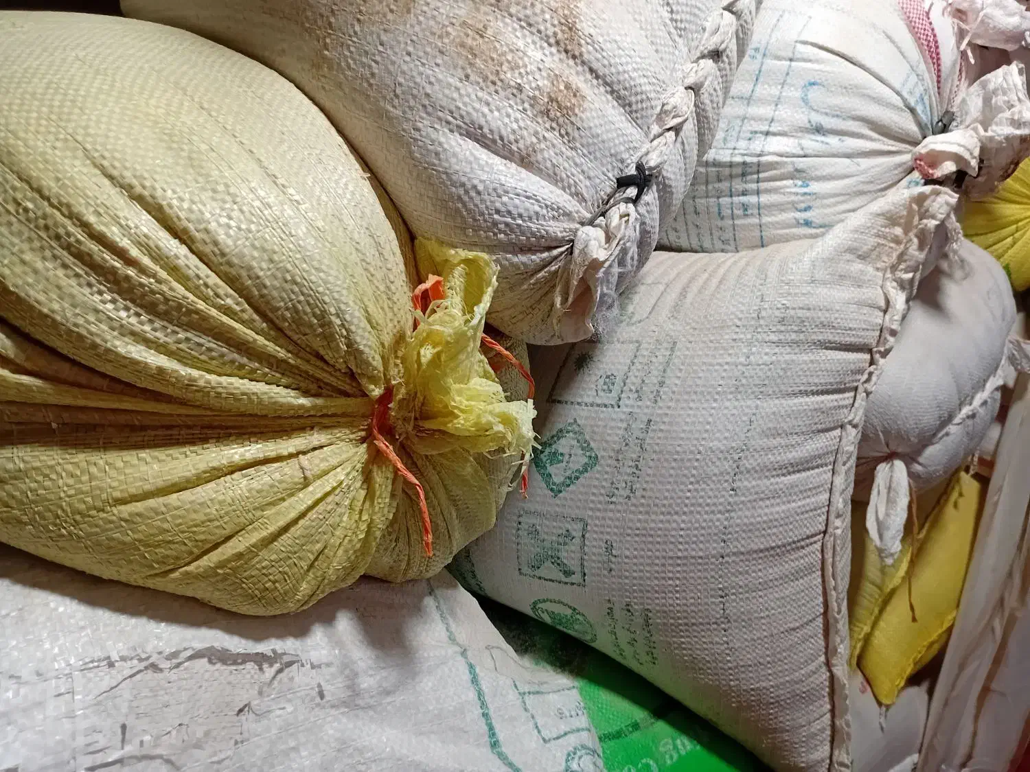 گندم مرغوب زاگرس|عمده‌فروشی|کوهنانی, |دیوار