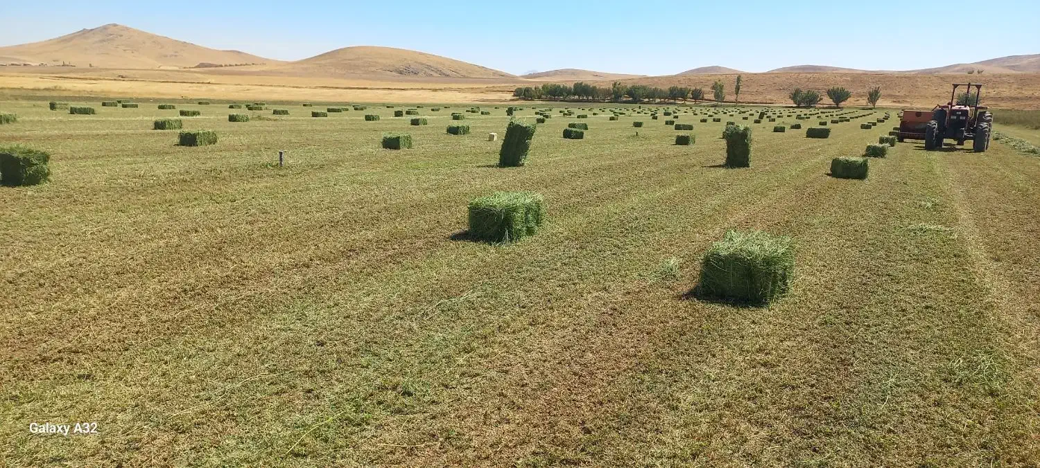 بیلر رامش صنعت|قطعات یدکی و لوازم جانبی|بلبان آباد, |دیوار