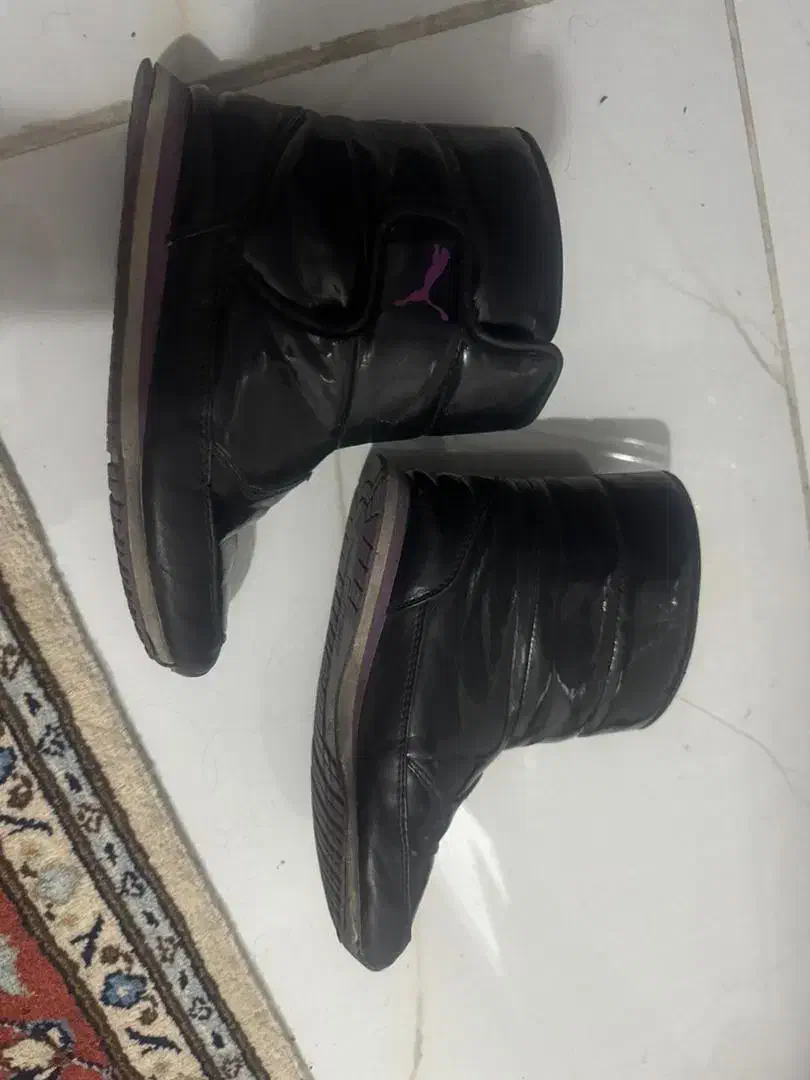 کفش|کیف، کفش، کمربند|تبریز, |دیوار