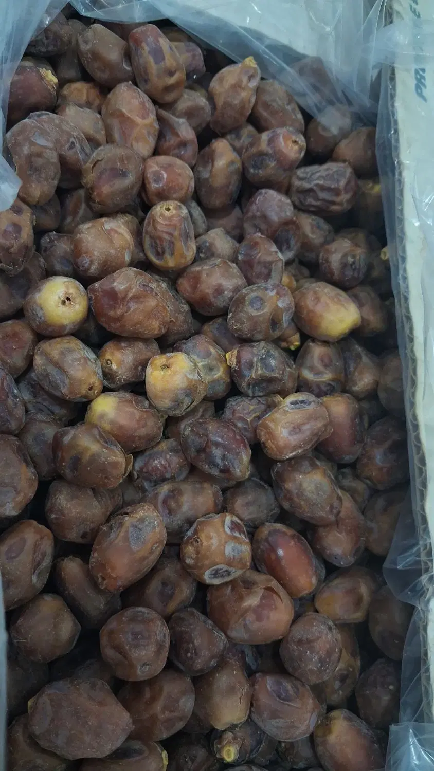 قصب|خوردنی و آشامیدنی|بوشهر, |دیوار