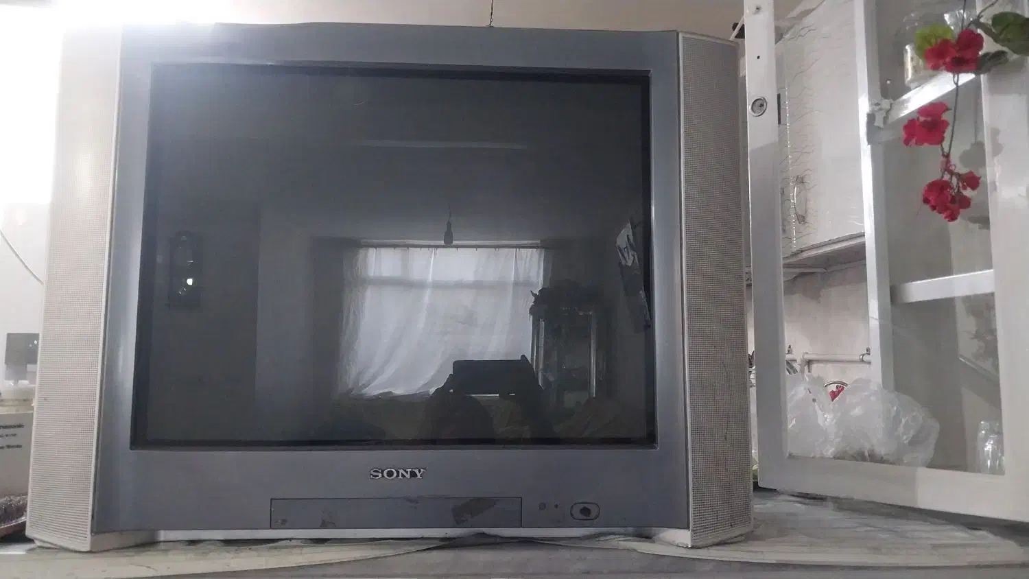 تلوزیون|تلویزیون و پروژکتور|همدان, |دیوار