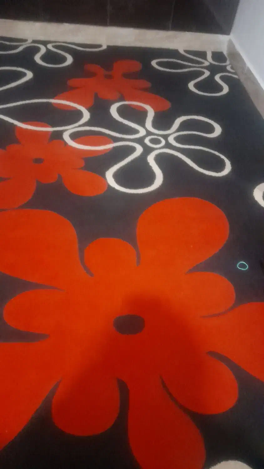 ۲عددگلیم فرش|گلیم، جاجیم، گبه|ایذه, |دیوار