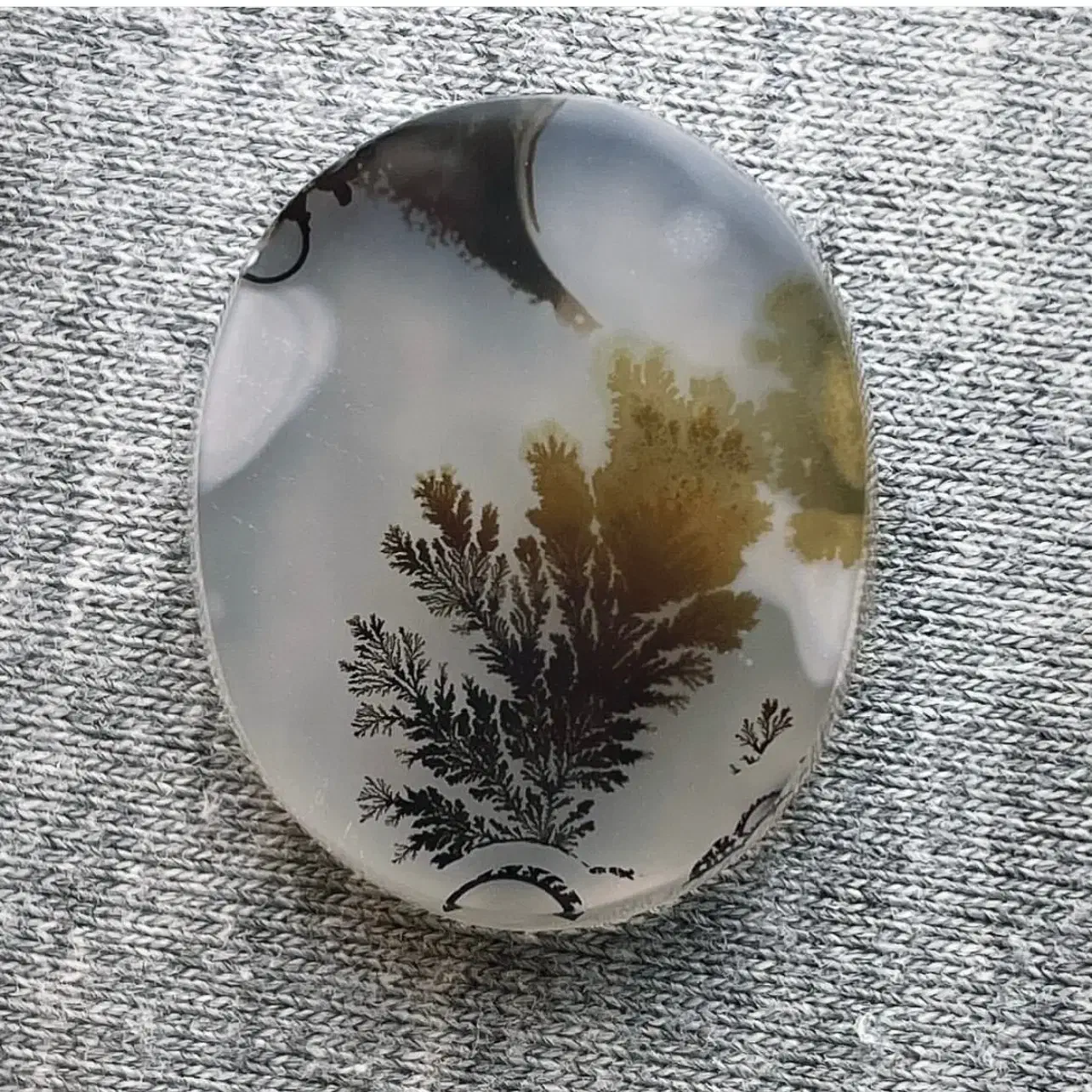 شجر قاین کلکسیونی|جواهرات|قائن, |دیوار