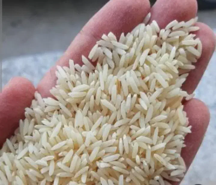 فروش برنج ۴۰ کیلو سورتینگ زده|خوردنی و آشامیدنی|آستانه اشرفیه, |دیوار