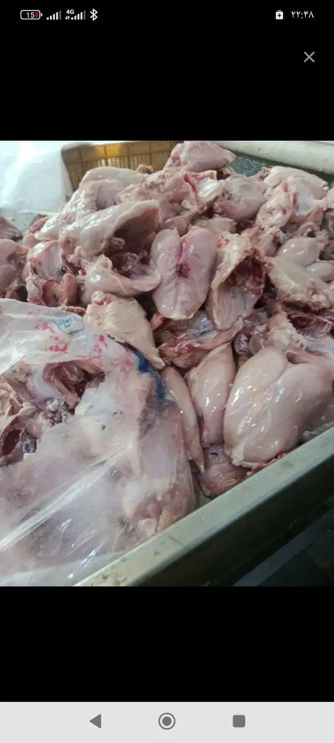 شینسل زن|خوردنی و آشامیدنی|نیشابور, دارایی|دیوار