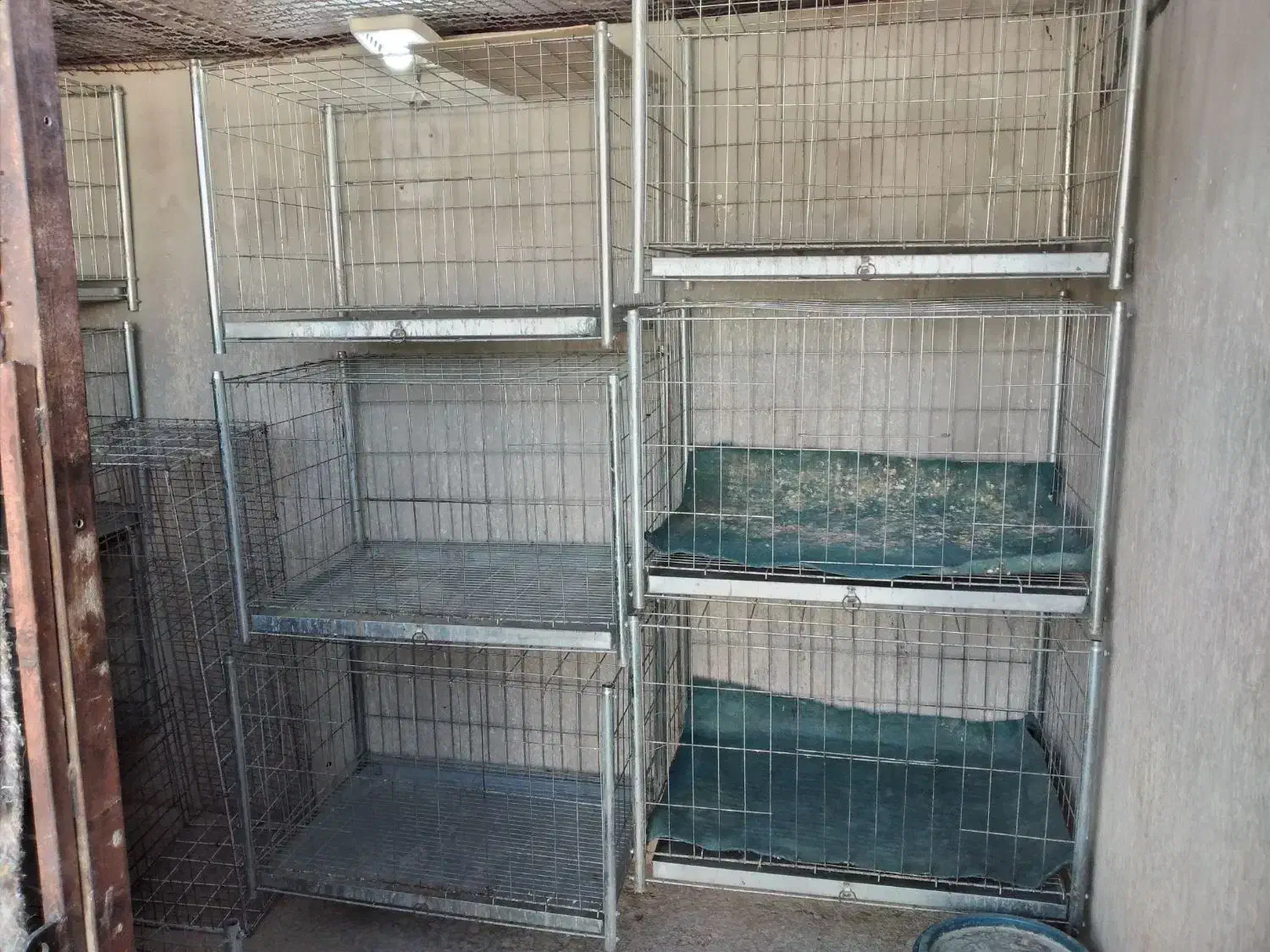 قفس جفت کن کبوتر|لوازم جانبی حیوانات|ایلام, |دیوار