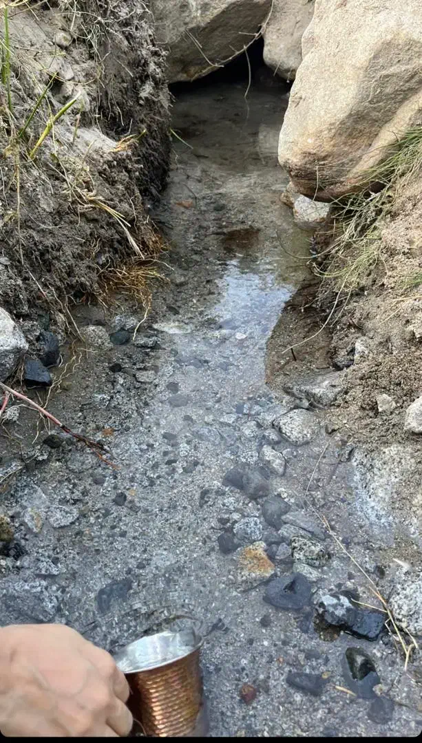 50 قصب باغ بندر دلفارد خوش آب و هوا|فروش خانه و ویلا|درب بهشت, |دیوار