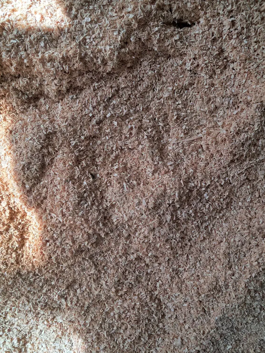 پوشال خاک اره برای بوقلمون مرغ و خروس اسب خرگوش|لوازم جانبی حیوانات|تهران, جیحون|دیوار