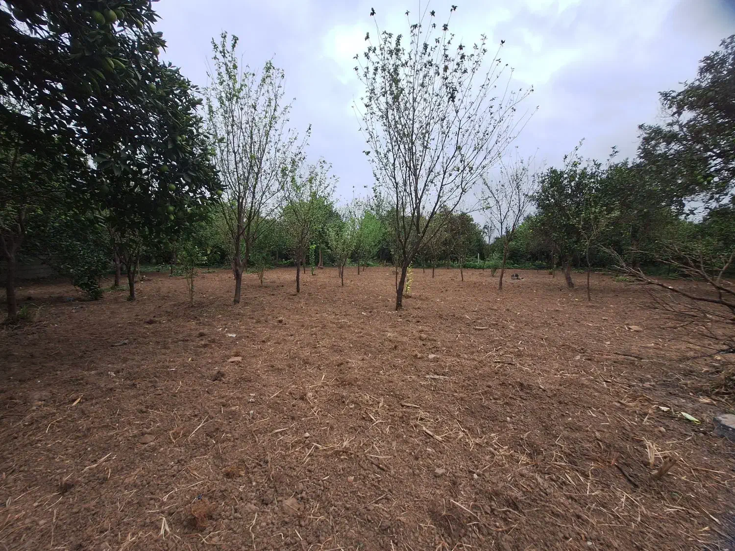 فروش زمین ۸۵۰ متری بابل روستای کشتلی میدان سر|فروش زمین و ملک کلنگی|گتاب, |دیوار