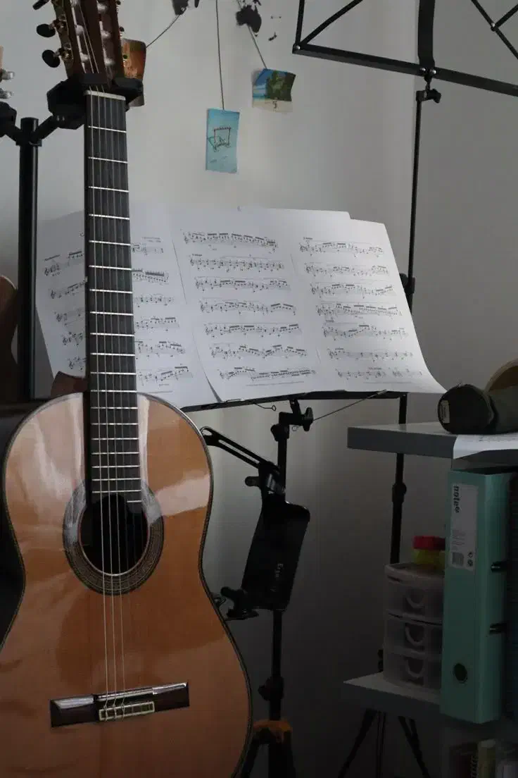 آموزش تخصصی گیتار در مرودشت|خدمات آموزشی|مرودشت, بیست متری بیمارستان|دیوار