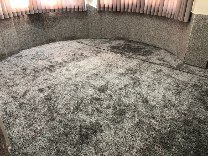 پالازموکت پلازا پلاس موکت مدرن ۴۳۹۸|موکت|قم, شاه ابراهیم|دیوار