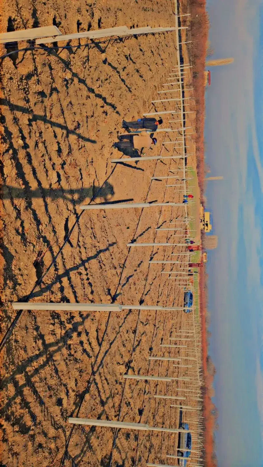 فنس کشی وتیرگذاری باغ|خدمات باغبانی و درختکاری|نوشین شهر, |دیوار