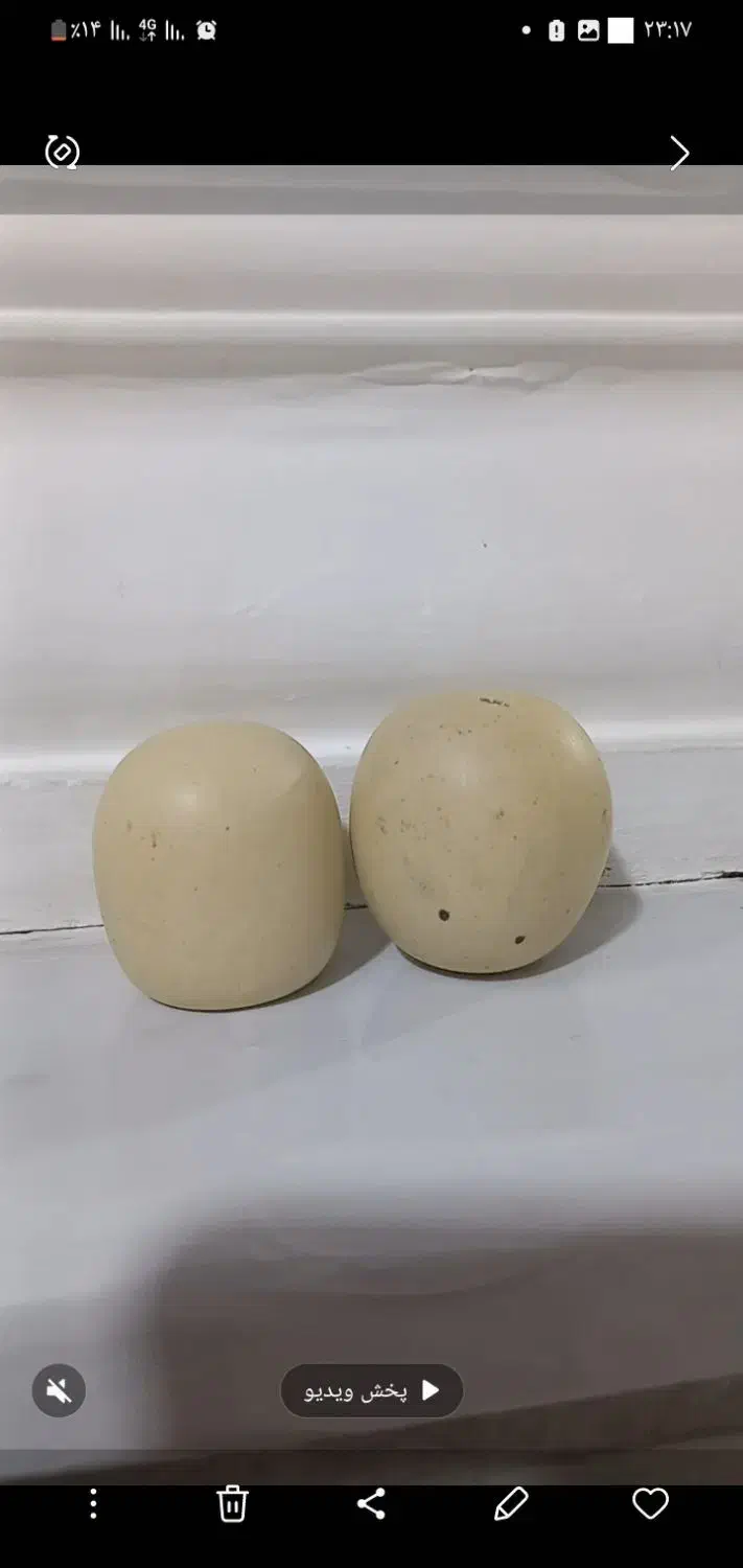 سنگ الماس آسیاب|کلکسیون اشیاء عتیقه|گلستان (تهران), |دیوار