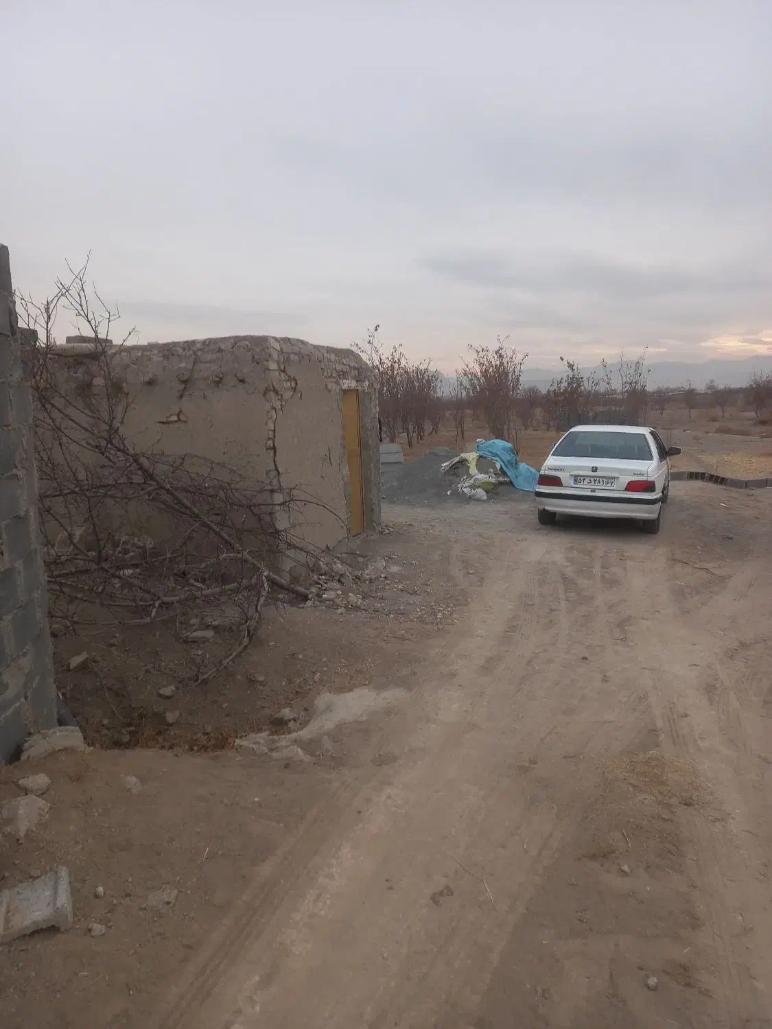 باغ ششصد متری پیربکران علیشاهدان روستای علی آباد|فروش زمین و ملک کلنگی|پیر بکران, |دیوار