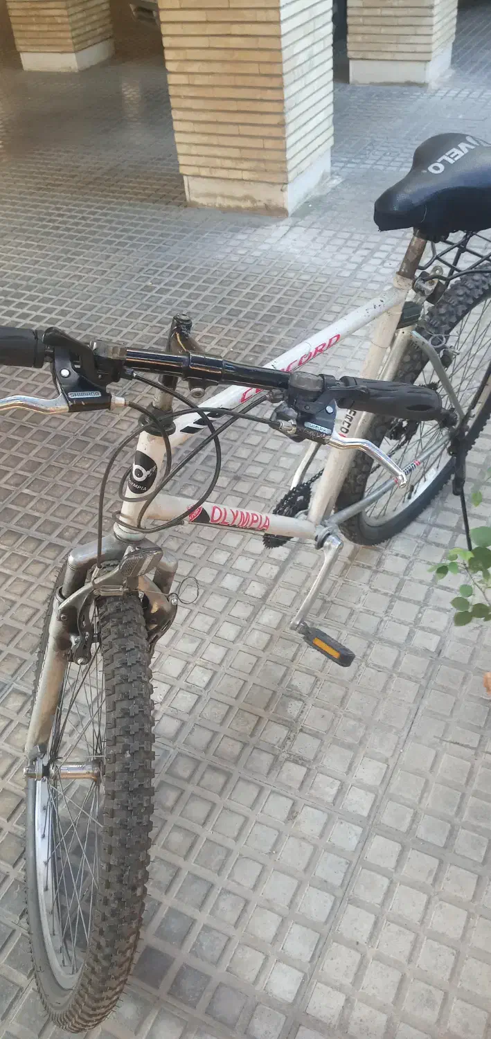 دوچرخه المپیا 26|دوچرخه، اسکیت، اسکوتر|ساری, |دیوار