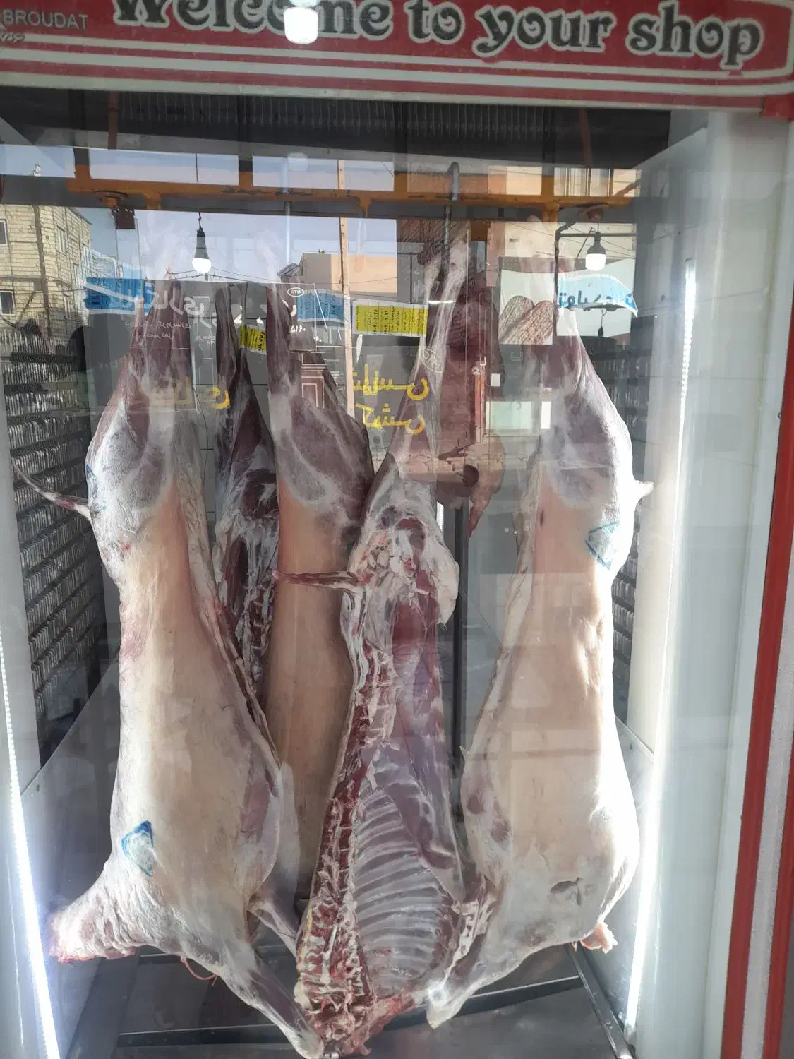 گوسفنده زنده گوشت جگر سیرابی|خوردنی و آشامیدنی|درح, |دیوار