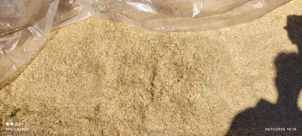 کاه گندم نرم گوسفندی کیسه شده|لوازم جانبی حیوانات|ازنا, |دیوار