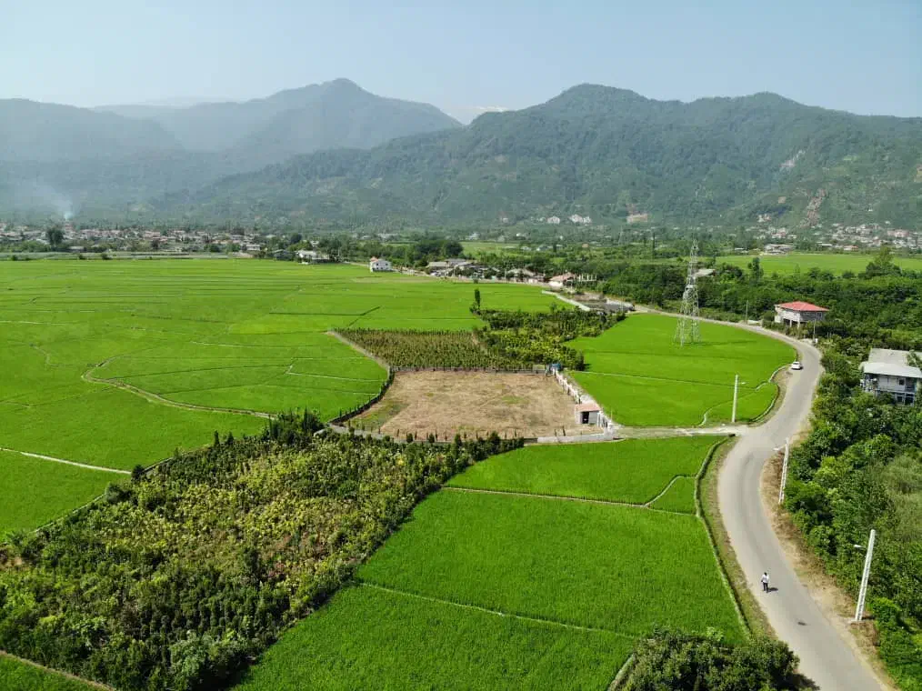 فروش زمین مسکونی زراعی ۱۶۶۵ متری با مجوز ساخت|فروش زمین و ملک کلنگی|چابکسر, |دیوار