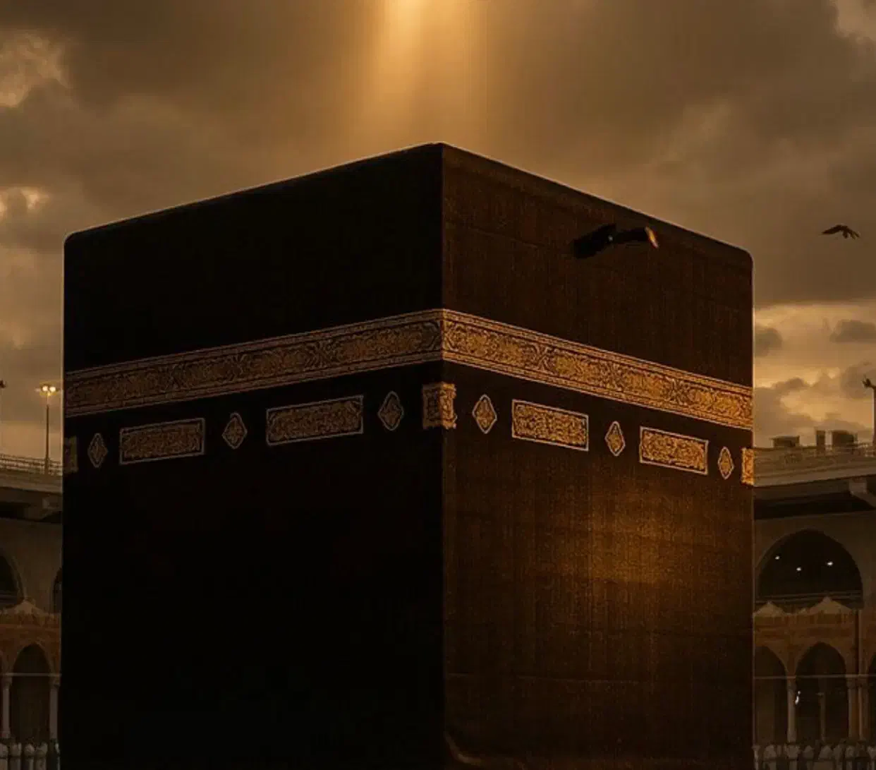 ۲عدد فیش|تور و چارتر|تهران, جوانمردان (اندیشه)|دیوار