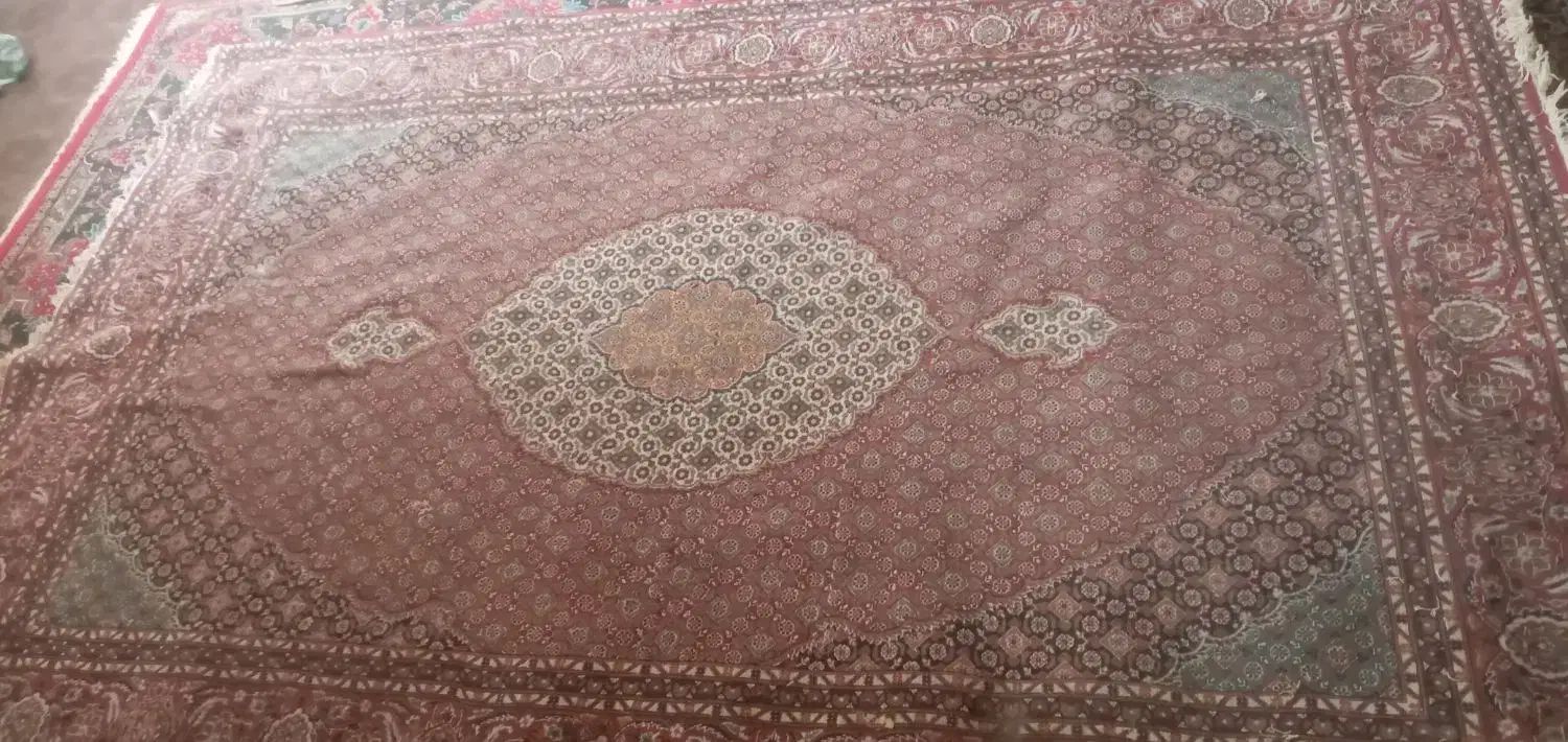 6 متری فرش|فرش|زاهدان, |دیوار