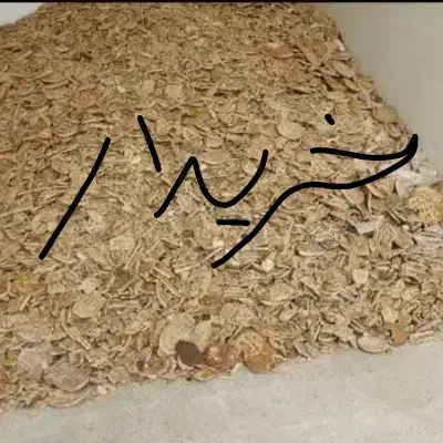 نان خشک|حیوانات مزرعه|مشهد, انقلاب|دیوار