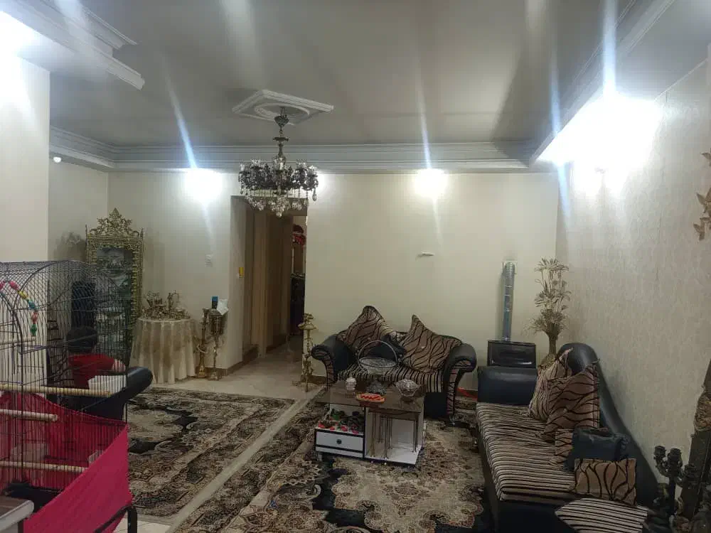 اجاره آپارتمان تک واحدی افسریه شمالی|اجارهٔ آپارتمان|تهران, افسریه شمالی|دیوار