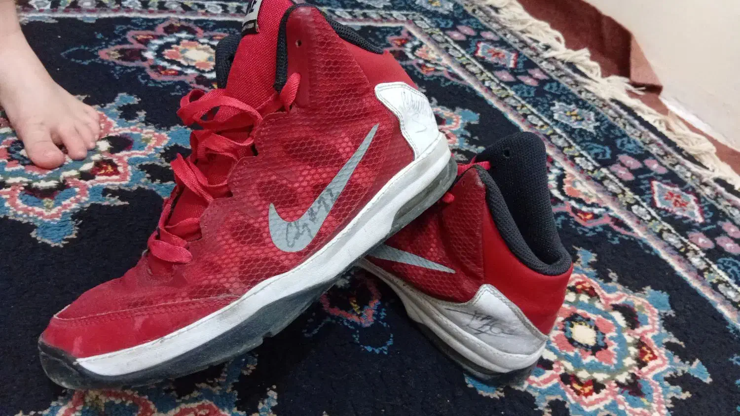 کفش نایک|کیف، کفش، کمربند|کرج, مصباح|دیوار