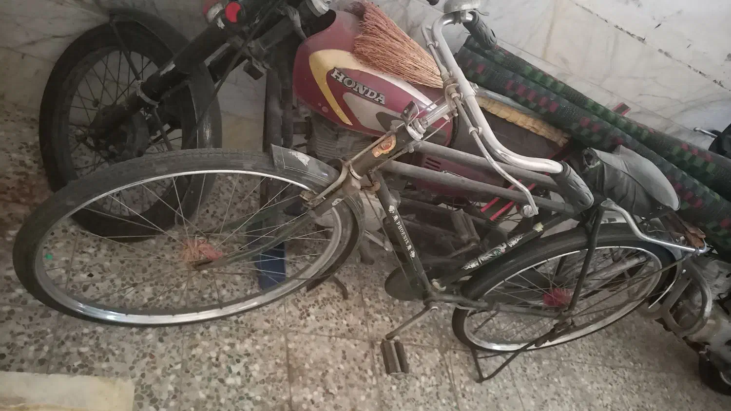 دوچرخه فونیکس میبد|دوچرخه، اسکیت، اسکوتر|میبد, |دیوار