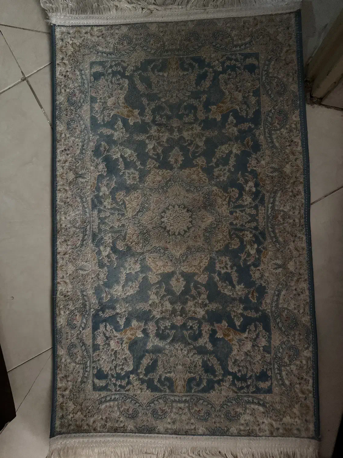 ۳عدد پادری سالم|پادری|کرج, کوی کارمندان جنوبی|دیوار