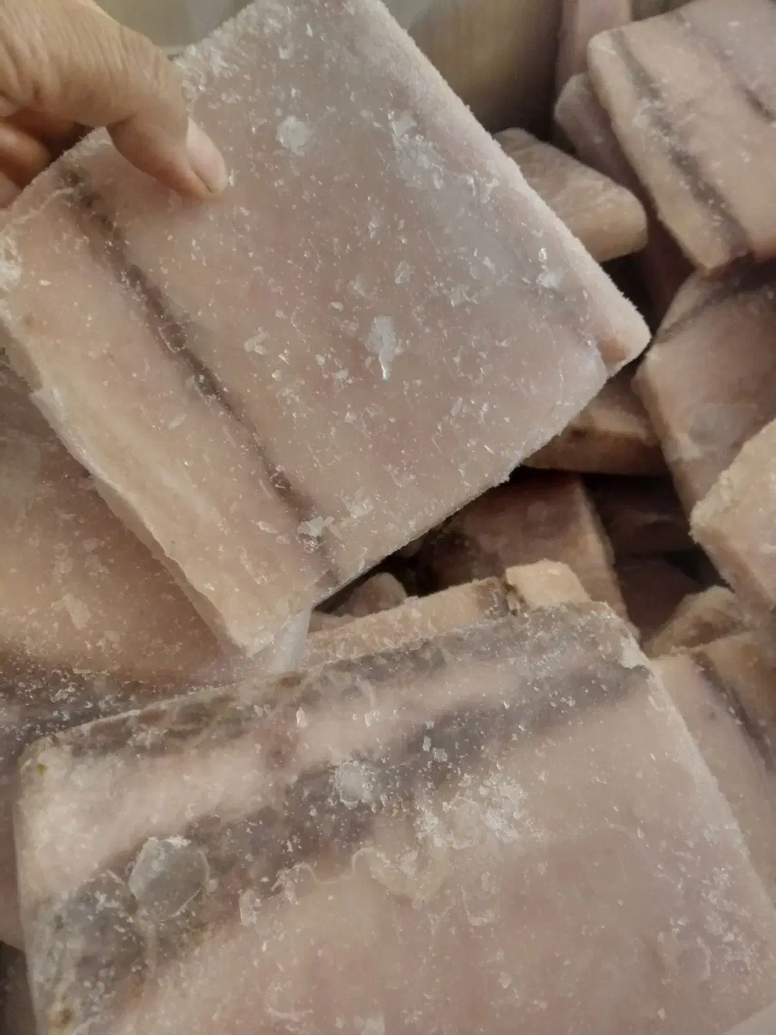 ماهی فیله شیر|ماهی|ری, دیلمان|دیوار