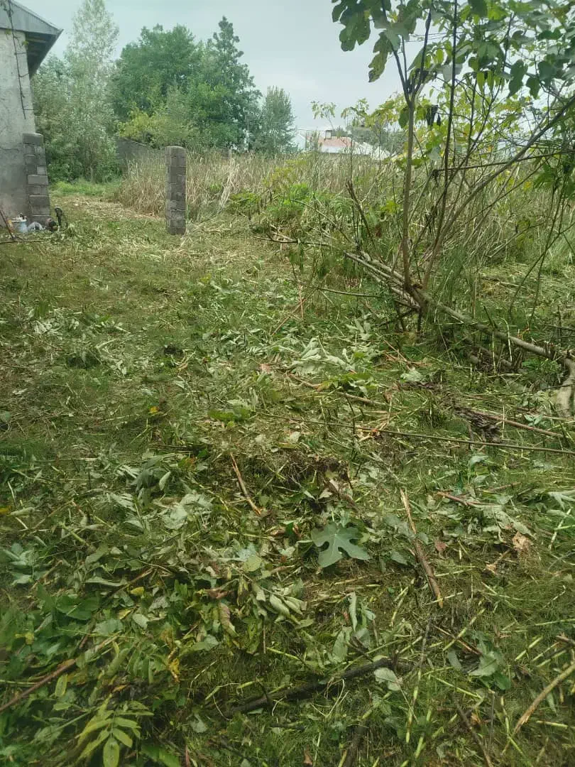 چمنزنی علفزنی با دستگاه|خدمات باغبانی و درختکاری|لاهیجان, بازکیاگوراب|دیوار